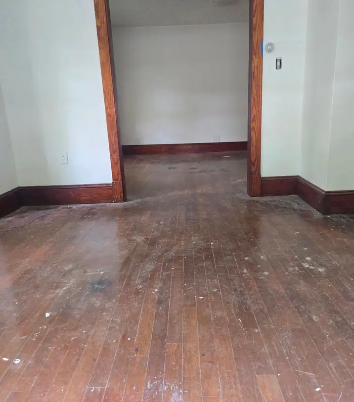 An oak floor before: worn finish, scuffs and paint spatter