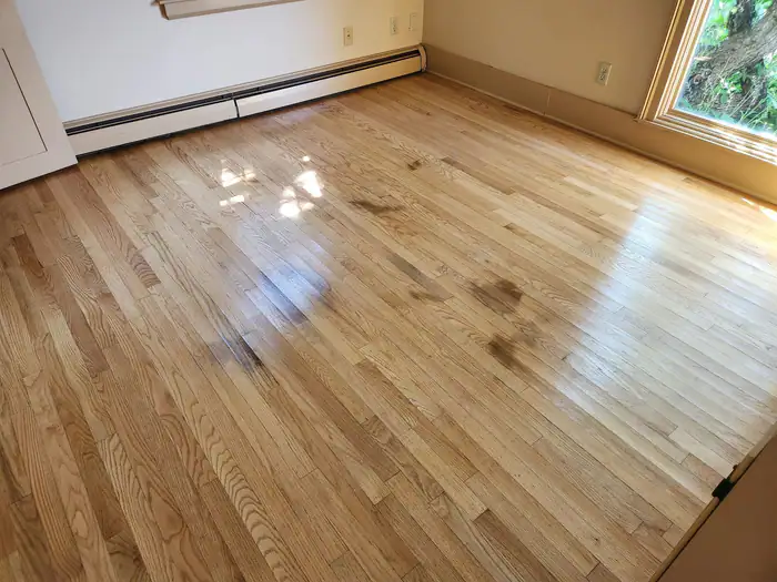 Freshly sanded oak floor in a bright room